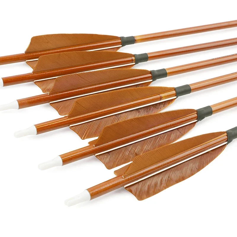 6/12pcs Mixed Carbon Arrows SP - Archery Target Face recension och pris